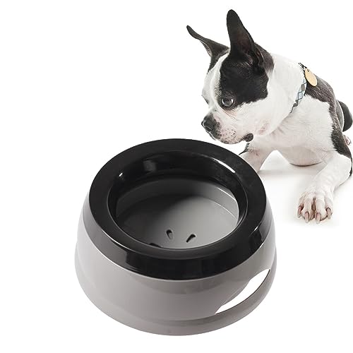 Wassernapf für Hunde, 750 ml, kein Verschütten, große Kapazität, langsamer Wasserspender, auslaufsicher, Haustier-Wasserspender, langsames Trinken, Reise-Wassernapf für Hunde/Katzen/Haustiere (grau) Wassernapf für Hunde, 750 ml, kein Verschütten, große Kapazität, langsamer Wasserspender, auslaufsicher, Haustier-Wasserspender, langsames Trinken, Reise-Wassernapf für Hunde/Katzen/Haustiere (grau) von TANXIC