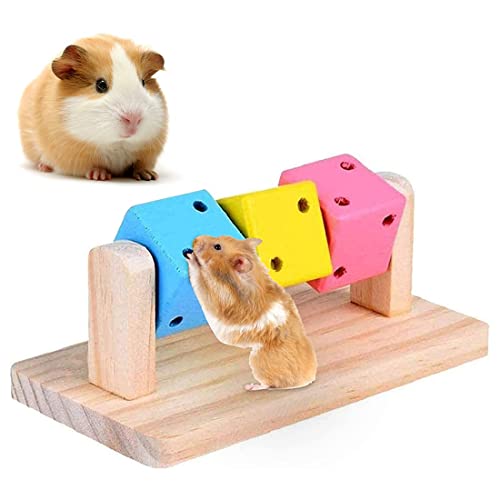 TANZEDMI Hamster-Kauspielzeug aus natürlichem Holz, Lerntraining, buntes Zahnspielzeug, Hamsterkäfig, Zubehör für Meerschweinchen, Kaninchen, Kaninchen und mehr von TANZEDMI