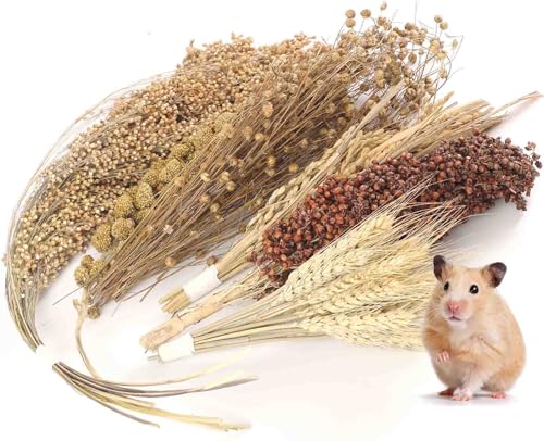 TAOKEKE Hamster Spray Set - Natürliche Snackkörner & Kauspielzeug für Käfigdekoration Zubehör, weiche Einstreu für syrische Zwerghamster, Rennmäuse, Mäuse & kleine Haustiere von TAOKEKE