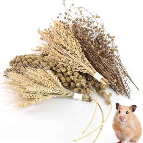 TAOKEKE Hamster Spray Set - Natürliche Snackkörner & Kauspielzeug für Käfigdekoration Zubehör, weiche Einstreu für syrische Zwerghamster, Rennmäuse, Mäuse & kleine Haustiere von TAOKEKE