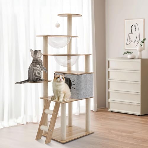Pet Kratzbaum Katzen-Klettergerüst 5-stufiges mit Acrylkapsel Liegeflächen Höhle für Indoor-Katzen mit Mehreren Ebenen & Kratzbäumen Pet Kratzbaum Katzen-Klettergerüst 5-stufiges mit Acrylkapsel Liegeflächen Höhle für Indoor-Katzen mit Mehreren Ebenen & Kratzbäumen von TAPMING