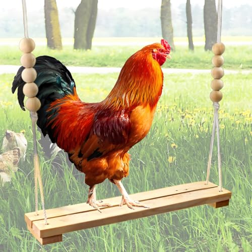 Hühner-Schaukelspielzeug für Ställe – Naturholz, 40 cm, verstellbare Sitzstange und Leiter, Hühnerspielzeug, Zubehör für Hühner, Hähne, Papageien, Aras, Stressabbau, Hühnerschaukeln für Ställe Hühner-Schaukelspielzeug für Ställe – Naturholz, 40 cm, verstellbare Sitzstange und Leiter, Hühnerspielzeug, Zubehör für Hühner, Hähne, Papageien, Aras, Stressabbau, Hühnerschaukeln für Ställe von TARANDUS