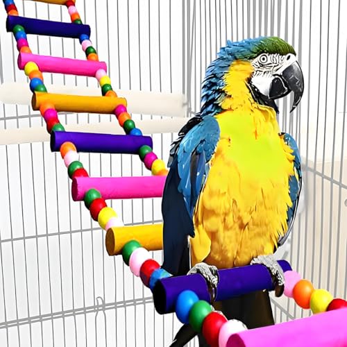 Vogelspielzeug für Papageien, Papageienbrücke, Schaukelspielzeug und Leitern für Aras, Graupapageien, Wellensittiche, Nymphensittiche und Sittiche – Vogelleiter aus Holz und Schaukelspielzeug zum Vogelspielzeug für Papageien, Papageienbrücke, Schaukelspielzeug und Leitern für Aras, Graupapageien, Wellensittiche, Nymphensittiche und Sittiche – Vogelleiter aus Holz und Schaukelspielzeug zum von TARANDUS