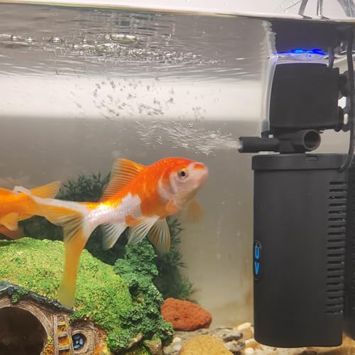 U-V-Filter für Aquarien, 158 GPH für kleine Betta-Fische, Schildkröten-Tank, Innenfilter mit Belüftung, Bio-Schwamm, grüne saubere Maschine, grüne Tötung, Desodorierung, hält Salzwasser, Süßwasser U-V-Filter für Aquarien, 158 GPH für kleine Betta-Fische, Schildkröten-Tank, Innenfilter mit Belüftung, Bio-Schwamm, grüne saubere Maschine, grüne Tötung, Desodorierung, hält Salzwasser, Süßwasser von TARARIUM