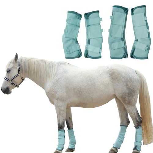 TARFEPA Verstellbare Fliegengamaschen für Pferde, Beinschutz für Pferde, reduziert Stomping, atmungsaktive Netz-Fliegenstiefel für Pferde, Beinschoner für Pferde, Aquablau – Cob TARFEPA Verstellbare Fliegengamaschen für Pferde, Beinschutz für Pferde, reduziert Stomping, atmungsaktive Netz-Fliegenstiefel für Pferde, Beinschoner für Pferde, Aquablau – Cob von TARFEPA