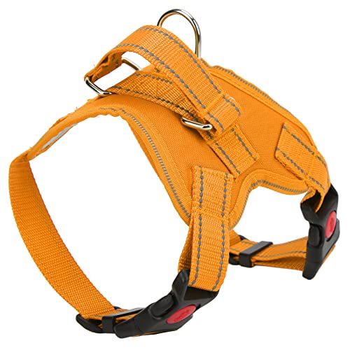 Hundegurt, Einstellbare Reflektierende Oxford -Haustierkabelbaum Haustier Sattelkabelbaum mit Einfacher Kontrolle Griff Katze Wandergurte Welpenkabelbaum und Leinen -Set Training für Hunde Haustiere Hundegurt, Einstellbare Reflektierende Oxford -Haustierkabelbaum Haustier Sattelkabelbaum mit Einfacher Kontrolle Griff Katze Wandergurte Welpenkabelbaum und Leinen -Set Training für Hunde Haustiere von TARSHYRY