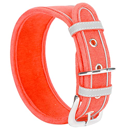 Hundehalsbänder Nutzen Leine, Welpenkragen Atmungsaktiven Reflexionskragen Hundehälfte mit D Ringen Hundekragen für Große Hunde für Kleine Mittelgroßen Hunden (M 56 * 5.0CM) von TARSHYRY