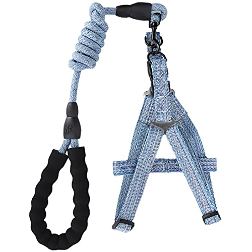 Hundehalsband und Gurt Set, Hundekabelbaum Kleiner Hunde Hundegurtgurt Hunde -Wanderausbildung mit Bequemem Griff Hundegurt für Kleine, Mittlere und Große (L (geeignet für 15–45 Katzen)) von TARSHYRY