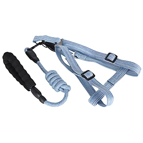 Hundehalsband und Gurt Set, Hundekabelbaum Kleiner Hunde Hundegurtgurt Hunde -Wanderausbildung mit Bequemem Griff Hundegurt für Kleine, Mittlere und Große (XL (geeignet für 45–60 Katzen)) von TARSHYRY