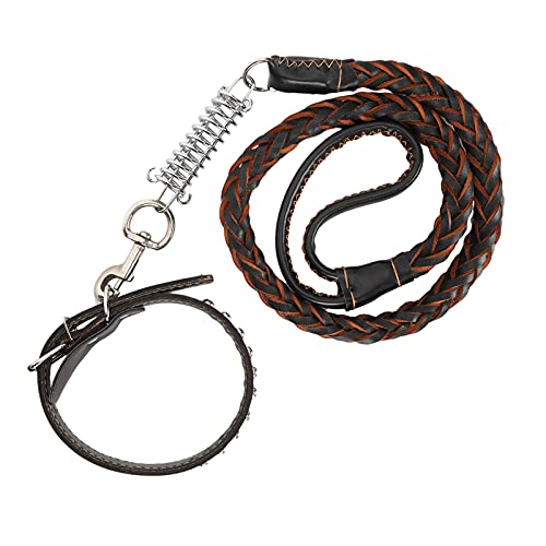 Hundehalsband und Leine Set, Hunde Walking Leine Haustier Leinenkragen mit Kragen Hundegurthundkragen Hundeleine für Kleine Mittelgroßen Großen Hunden (Black) von TARSHYRY