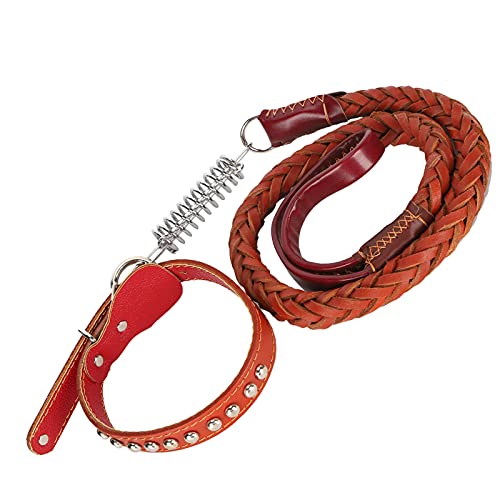 Hundehalsband und Leine Set, Hunde Walking Leine Haustier Leinenkragen mit Kragen Hundegurthundkragen Hundeleine für Kleine Mittelgroßen Großen Hunden (Brown) von TARSHYRY
