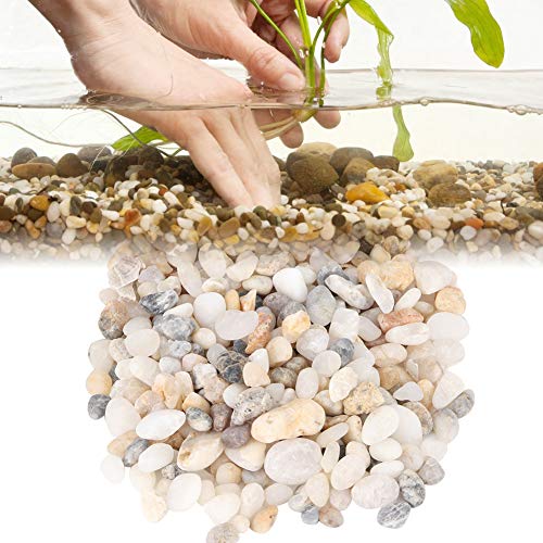 TARSHYRY Aquariumsubstrat für Lebende Pflanzen, Dekorative Polierte Stones River Fels Aquarium Kies Dekorative Gesteine für Topfpflanzen für Vasen, Aquarien, Terrarium und Gartenarbeit Im Freien TARSHYRY Aquariumsubstrat für Lebende Pflanzen, Dekorative Polierte Stones River Fels Aquarium Kies Dekorative Gesteine für Topfpflanzen für Vasen, Aquarien, Terrarium und Gartenarbeit Im Freien von TARSHYRY