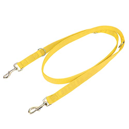 TARSHYRY Doppelte Leine für Zwei Hunde, Zwei Leine für Mittlere und Große Rassen Nylon Flexible Haustierhund -Wanderleinen -Traktionsseil mit Kette Dual Dog Doppelte für Hunde (2,5 cm * 200 cm) von TARSHYRY