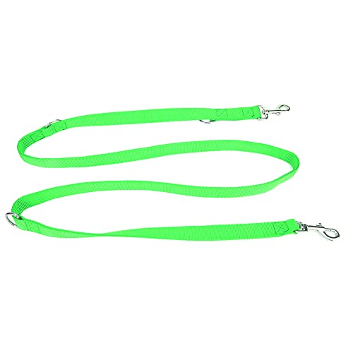 TARSHYRY Doppelte Leine für Zwei Hunde, Zwei Leine für Mittlere und Große Rassen Nylon Flexible Haustierhund -Wanderleinen -Traktionsseil mit Kette Dual Dog Doppelte für Hunde (2,5 cm * 200 cm) von TARSHYRY