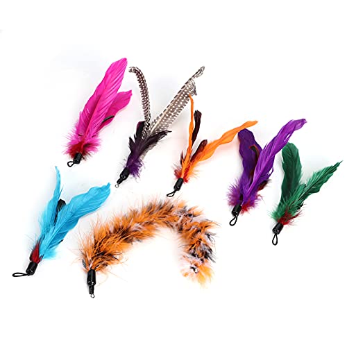 TARSHYRY Katzenfederspielzeug, Federspielzeug für Innenkatzen 7pcs Haustierkatze Teaser Dangler Spielzeugstangenstab Feder Ersatz Kopfkatzen Lieferungen Katzenspielzeugfeder für Alle Rassen und Arten TARSHYRY Katzenfederspielzeug, Federspielzeug für Innenkatzen 7pcs Haustierkatze Teaser Dangler Spielzeugstangenstab Feder Ersatz Kopfkatzen Lieferungen Katzenspielzeugfeder für Alle Rassen und Arten von TARSHYRY