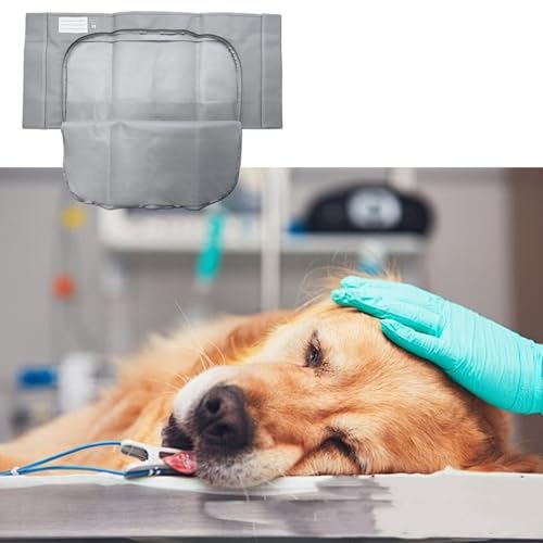 TARSHYRY Lecksicherer Nicht Gewebter Reißverschluss -Verschluss Tierkörperbeutel, aus Robustem, Nicht Gewebten Stoff Gefertigt, Geeignet für eine Vielzahl von Tieren, die für die Würdige TARSHYRY Lecksicherer Nicht Gewebter Reißverschluss -Verschluss Tierkörperbeutel, aus Robustem, Nicht Gewebten Stoff Gefertigt, Geeignet für eine Vielzahl von Tieren, die für die Würdige von TARSHYRY