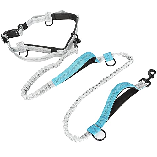 Taille Leine für Hundegasse, Stoßdämpferung Bungee Dual Griff Hunde Running Leine Reflektierende Wanderleine mit Taillengürtel Taille Leinen Leinen Gürtel für Kleine Bis Große Hunde (Blue) von TARSHYRY
