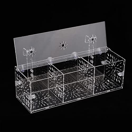 Züchterbox für Fische, Acryltransparente Fischzüchtung Isolation Box Fischzüchter Box für Aquarium Aquariumteiler Aquarium Hatchery Inkubatorhalter Aquarium Isolation Box (30 von TARSHYRY