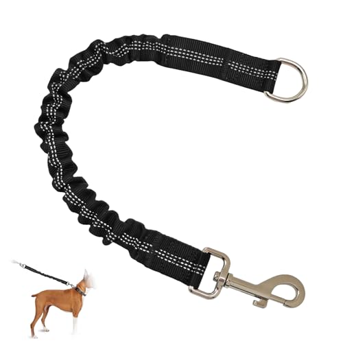 Ruckdämpfer für Hunde Leine, Hundetrainingsleine Leines Hundeleine Ruckdämpfer Bungee Leine Hund Hunde Fahrradleine Leinenverlängerung Reflektierend für Spaziergänge Hundetraining Joggen Radfahren Ruckdämpfer für Hunde Leine, Hundetrainingsleine Leines Hundeleine Ruckdämpfer Bungee Leine Hund Hunde Fahrradleine Leinenverlängerung Reflektierend für Spaziergänge Hundetraining Joggen Radfahren von TASSFROO