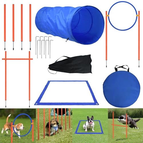 TATIVALO Agility Set Hunde Klein und Groß aus Tunnel für Hunde, Agility Stangen, Hürdenstange, Agility Ring & Pausenbox für Hunde Beschäftigung - Hundetraining Zubehör TATIVALO Agility Set Hunde Klein und Groß aus Tunnel für Hunde, Agility Stangen, Hürdenstange, Agility Ring & Pausenbox für Hunde Beschäftigung - Hundetraining Zubehör von TATIVALO