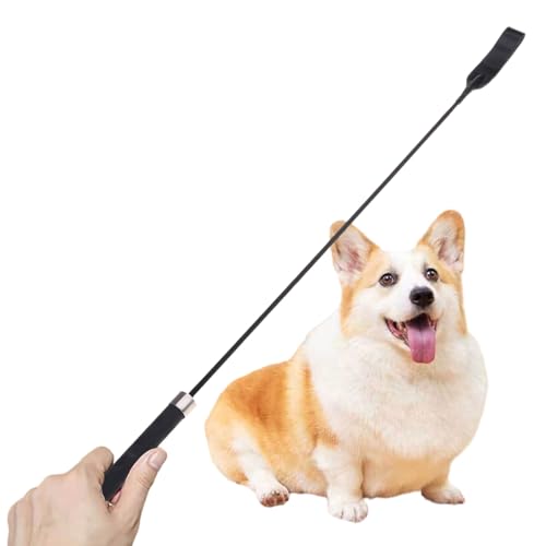 Hundetrainingsstock, interaktive Hundetrainingspeitsche, rutschfester Griff, für Outdoor und Indoor Hundetrainingsstock, interaktive Hundetrainingspeitsche, rutschfester Griff, für Outdoor und Indoor von TAZIZI
