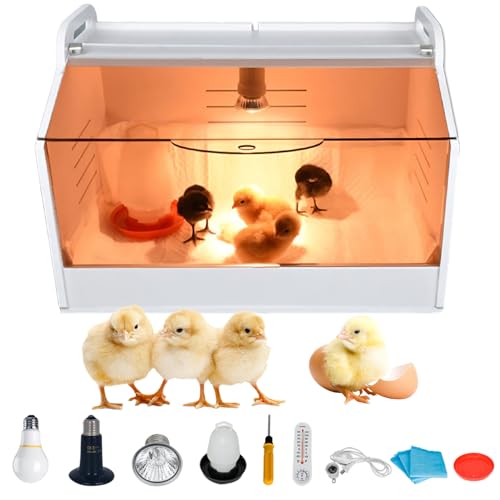 Geflügel Kükenbrüter Brutbox Ausrüstung, Küken Aufzucht Box, Kükenaufzuchtbox, Geflügel Brutbox, Aufzuchtbox Brutbox mit Transparente Öffnung, Mit Thermometer und Lampe für Geflügel, Reptilien Geflügel Kükenbrüter Brutbox Ausrüstung, Küken Aufzucht Box, Kükenaufzuchtbox, Geflügel Brutbox, Aufzuchtbox Brutbox mit Transparente Öffnung, Mit Thermometer und Lampe für Geflügel, Reptilien von TAZZOR