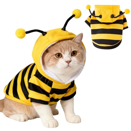 Katzen-Bienenkostüm, Katzen-Halloween-Kostüm, niedliche Katzenkleidung, Halloween, Kätzchen, Kapuzenpullover, Katzen-Outfits, kleine Hunde, Bienenkostüme, Gelb, XS von TBAMTBW