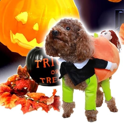 Hundekostüm Halloween Kürbis, Halloween Kürbis Kostüm Hund, Halloween Hundekostüm Halloween-Kürbis Hundeanzug Welpe Kostüm für Hochzeit Halloween Geburtstag Party (L) von TBLMPNE