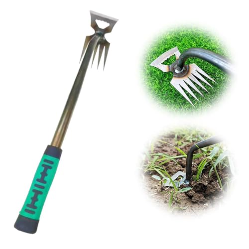 Unkrautstecher Edelstahl, 2025 Neu Gartengeräte Wurzeljäter, Gartenwerkzeug Manuelles Unkrautjätgerät aus Edelstahl, Manueller Weeder Löwenzahnzieher Rasenmäher für den Garten Rasen Hof (5-Zinken) Unkrautstecher Edelstahl, 2025 Neu Gartengeräte Wurzeljäter, Gartenwerkzeug Manuelles Unkrautjätgerät aus Edelstahl, Manueller Weeder Löwenzahnzieher Rasenmäher für den Garten Rasen Hof (5-Zinken) von TBLMPNE