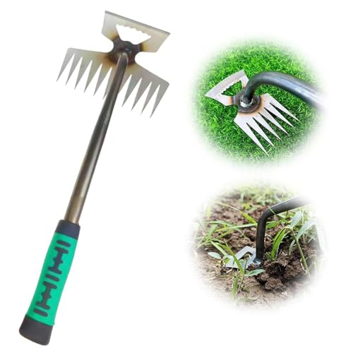 Unkrautstecher Edelstahl, 11-Zinken Gartengeräte Wurzeljäter, Gartenwerkzeug Manuelles Unkrautjätgerät aus Edelstahl, Manueller Weeder Löwenzahnzieher Rasenmäher für den Garten Rasen Hof (11-Zinken) Unkrautstecher Edelstahl, 11-Zinken Gartengeräte Wurzeljäter, Gartenwerkzeug Manuelles Unkrautjätgerät aus Edelstahl, Manueller Weeder Löwenzahnzieher Rasenmäher für den Garten Rasen Hof (11-Zinken) von TBLMPNE