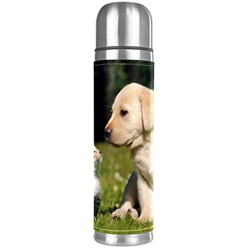 Isolierte Wasserflasche Edelstahl-Wasserflaschen Metall-Wasserflasche,Katze Tier Hund von TBOUOBT