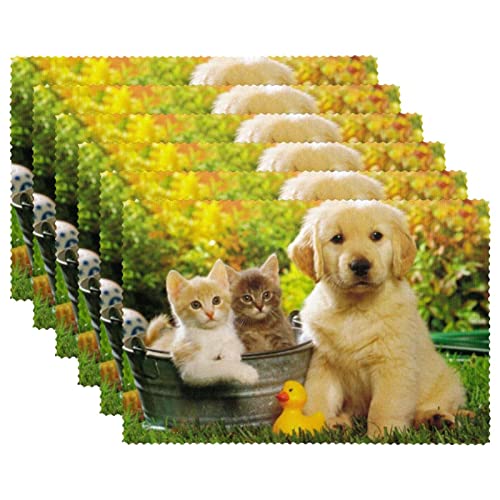 Tischset, rutschfestes Isolier-Tischset, waschbares Tischset,Katzen und Hundetierhaustier Tischset, rutschfestes Isolier-Tischset, waschbares Tischset,Katzen und Hundetierhaustier von TBOUOBT
