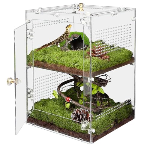 Großes Springspinnengehege, 2-in-1-Reptilien-Terrarium aus Acryl, für Betende Mantis, Vogelspinne, Frösche, Schnecken, 30,5 x 20,3 x 20,3 cm, Brutraum mit Türen vorne und oben und Belüftungslöchern Großes Springspinnengehege, 2-in-1-Reptilien-Terrarium aus Acryl, für Betende Mantis, Vogelspinne, Frösche, Schnecken, 30,5 x 20,3 x 20,3 cm, Brutraum mit Türen vorne und oben und Belüftungslöchern von TCooSo