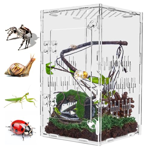 Springspinnengehege aus Acryl, 25,4 x 15,2 x 15,2 cm, großes belüftetes Reptilien-Terrarium mit Tür an der Vorderseite für Vogelspinnen, Insekten, Frösche, Gottesanbeterin, Schnecken Springspinnengehege aus Acryl, 25,4 x 15,2 x 15,2 cm, großes belüftetes Reptilien-Terrarium mit Tür an der Vorderseite für Vogelspinnen, Insekten, Frösche, Gottesanbeterin, Schnecken von TCooSo