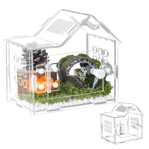 TCooSo Springspinnengehege für kleine Arten, Acryl-Reptilien-Terrarium, Lebensraum mit Futterloch für Vogelspinnen, Gecko, Insekten, Einsiedlerkrebse, Eidechse, Schnecken Isopoden – 15,2 x 10,2 x 15,2 TCooSo Springspinnengehege für kleine Arten, Acryl-Reptilien-Terrarium, Lebensraum mit Futterloch für Vogelspinnen, Gecko, Insekten, Einsiedlerkrebse, Eidechse, Schnecken Isopoden – 15,2 x 10,2 x 15,2 von TCooSo