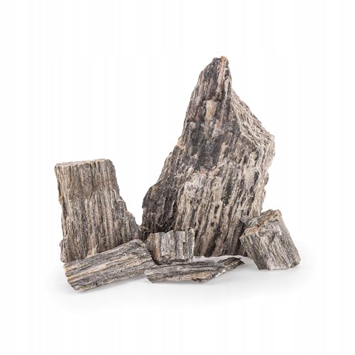 TD STONES Aquarium Schiefersteine Holzstein 3 kg – Strukturierte Natursteine Deko für Aquascaping, Rückwand & Höhlen – Terrarium Zubehör – Handverlesen, Wasserneutral, Sofort Einsetzbar, Dekosteine von TD STONES