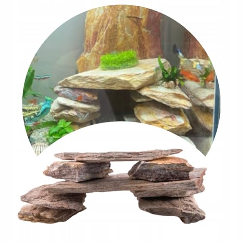 TD STONES Aquarium Schiefersteine Mehrfarbig 5 kg – Strukturierte Natursteine Deko für Aquascaping, Rückwand & Höhlen – Terrarium Zubehör – Handverlesen, Wasserneutral, Sofort Einsetzbar, Bunt von TD STONES