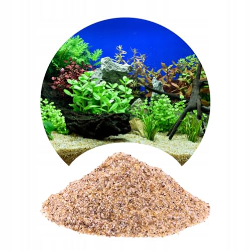 TD STONES Goldener Aquariensand Bernstein – 0,8-1,2mm Körnung – Feiner Bodengrund für Süß- & Meerwasseraquarien, Schonend für Empfindliche Fische, Stabilisiert Ökosystem & Fördert Pflanzenwachstum 8kg von TD STONES