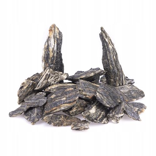 TD STONES Aquarium Schiefersteine Holzstein 10 kg 1-10 cm – Strukturierte Natursteine Deko für Aquascaping, Rückwand & Höhlen – Terrarium Zubehör – Handverlesen, Wasserneutral, Sofort Einsetzbar von TD STONES