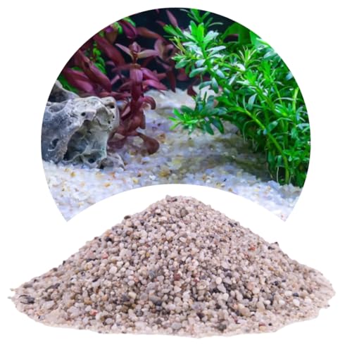 TD STONES Quarzkies Grau 8kg 1-3mm – Natürlicher, pH-neutraler Naturkies & Aquariumboden für Pflanzen, Fische & Garnelen – Dekorativer, schadstofffreier Kies für Aquascaping, Biotop & Aquariendeko von TD STONES