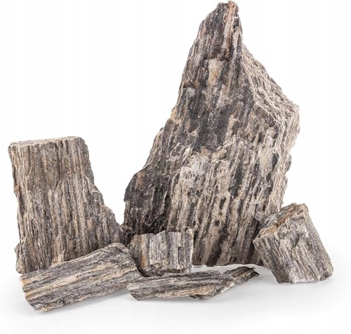 TD STONES Aquarium Schiefersteine Holzstein 1 kg – Strukturierte Natursteine Deko für Aquascaping, Rückwand & Höhlen – Terrarium Zubehör – Handverlesen, Wasserneutral, Sofort Einsetzbar, Dekosteine von TD STONES