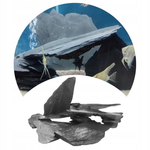 TD STONES Aquarium Schiefersteine Natürlich 1 kg – Strukturierte Natursteine Deko für Aquascaping, Rückwand & Höhlen – Terrarium Zubehör – Handverlesen, Wasserneutral, Sofort Einsetzbar, Dekosteine von TD STONES