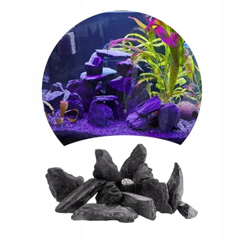 TD STONES Aquarium Schiefersteine Schwarz Holz 1 kg – Strukturierte Natursteine Deko für Aquascaping, Rückwand & Höhlen – Terrarium Zubehör – Handverlesen, Wasserneutral, Sofort Einsetzbar, Dekosteine von TD STONES