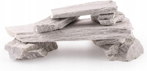 TD STONES Aquarium Schiefersteine Weiß 1 kg – Strukturierte Natursteine Deko für Aquascaping, Rückwand & Höhlen – Terrarium Zubehör – Handverlesen, Wasserneutral, Sofort Einsetzbar, Dekosteine TD STONES Aquarium Schiefersteine Weiß 1 kg – Strukturierte Natursteine Deko für Aquascaping, Rückwand & Höhlen – Terrarium Zubehör – Handverlesen, Wasserneutral, Sofort Einsetzbar, Dekosteine von TD STONES