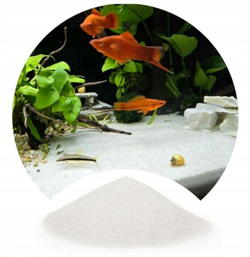 TD STONES Feiner Quarzsand – 0,5-1mm Körnung – Weicher Aquariensand für Süß- & Meerwasseraquarien, Schonend für Empfindliche Fische, Stabilisiert Ökosystem & Fördert Pflanzenwachstum – 24kg TD STONES Feiner Quarzsand – 0,5-1mm Körnung – Weicher Aquariensand für Süß- & Meerwasseraquarien, Schonend für Empfindliche Fische, Stabilisiert Ökosystem & Fördert Pflanzenwachstum – 24kg von TD STONES