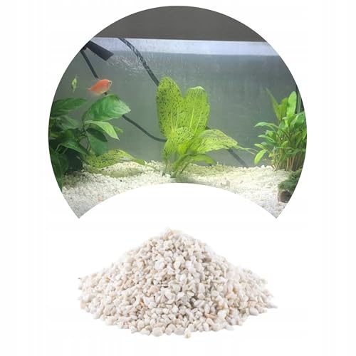 TD STONES Malawi Kies Weiß Dolomit 2kg 1-4mm – pH-stabilisierender Naturkies für Biotop-Aquarien, Fische & Garnelen – Dekorativer, schadstofffreier Bodengrund für Pflanzen, Aquascaping & Aquariendeko von TD STONES