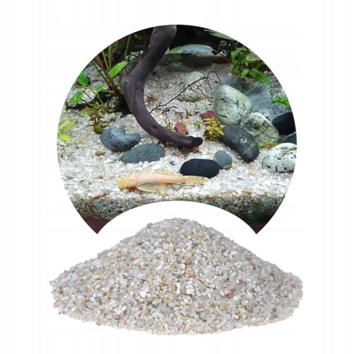 TD STONES Quarzkies Hell 24kg 2-3mm – Natürlicher, pH-neutraler Naturkies & Aquariumboden für Pflanzen, Fische & Garnelen – Dekorativer, schadstofffreier Kies für Aquascaping, Biotop & Aquariendeko von TD STONES
