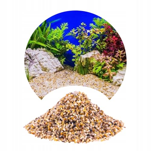 TD STONES Quarzkies Bernstein 24kg 2-3mm – Natürlicher, pH-neutraler Naturkies & Aquariumboden für Pflanzen, Fische & Garnelen – Dekorativer schadstofffreier Kies für Aquascaping Biotop & Aquariendeko von TD STONES