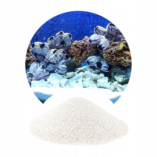 TD STONES Weißer Aquariensand Tanganika – 0,5-1mm Körnung – Feiner Bodengrund für Süß- & Meerwasseraquarien, Schonend für Empfindliche Fische, Stabilisiert Ökosystem & Fördert Pflanzenwachstum – 8kg TD STONES Weißer Aquariensand Tanganika – 0,5-1mm Körnung – Feiner Bodengrund für Süß- & Meerwasseraquarien, Schonend für Empfindliche Fische, Stabilisiert Ökosystem & Fördert Pflanzenwachstum – 8kg von TD STONES