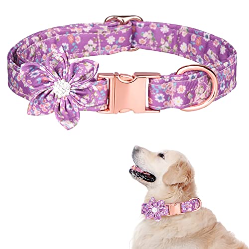 TDTOK Hundehalsband für Mädchen für kleine, mittelgroße und große Hunde, niedliches Hundehalsband mit abnehmbarer Blumen-Sicherheits-Metallschnalle, passend für Halsumfang von 26.7,60.6 cm TDTOK Hundehalsband für Mädchen für kleine, mittelgroße und große Hunde, niedliches Hundehalsband mit abnehmbarer Blumen-Sicherheits-Metallschnalle, passend für Halsumfang von 26.7,60.6 cm von TDTOK